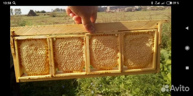 Рамки для сотового мёда купить на Зозу.ру - фотография № 3