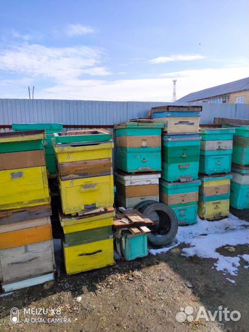 Улья для пчел купить на Зозу.ру - фотография № 4