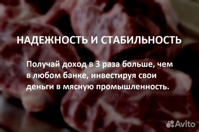 Инвестиции с гарантией прибыли Инвестиции с гарантией прибыли