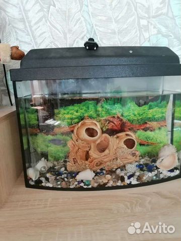 Аквариум