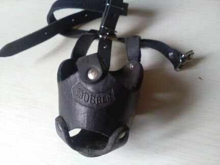 Аксессуары для крупной собаки и перевозка