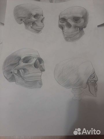 Академический рисунок, живопись