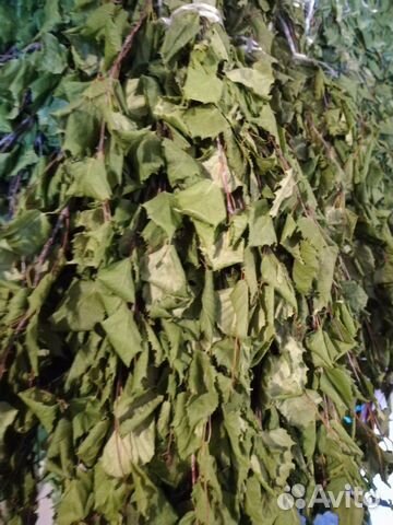 Продам веники