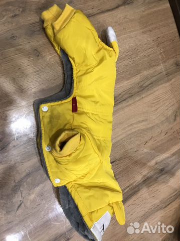 Одежда для собак мелких пород