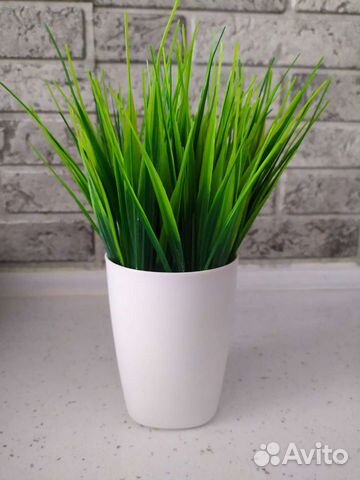 Кашпо с зеленью