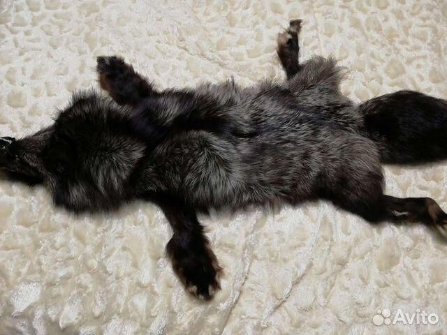 Шкура чернобурки