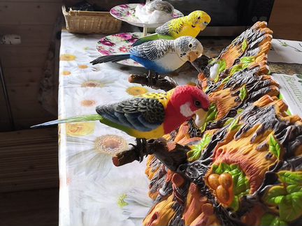 Сувенир поющяя птица