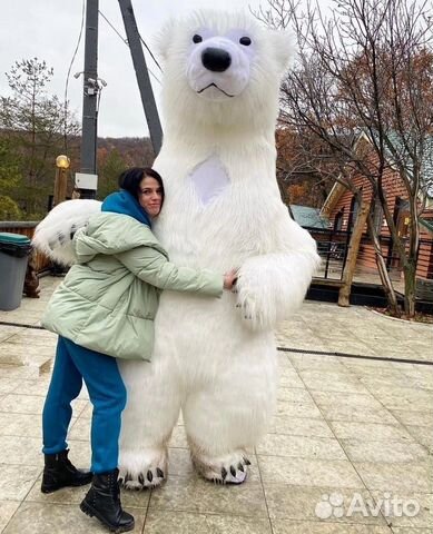 Медведь на праздник/ поздравление белого медведя