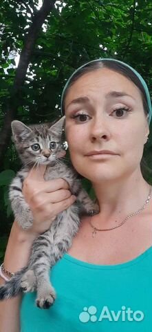 Котенок 1,5мес можем привезти