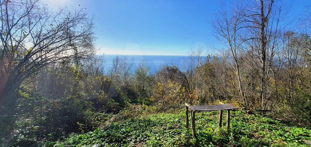 Участок 8,3 сот. (СНТ, ДНП)