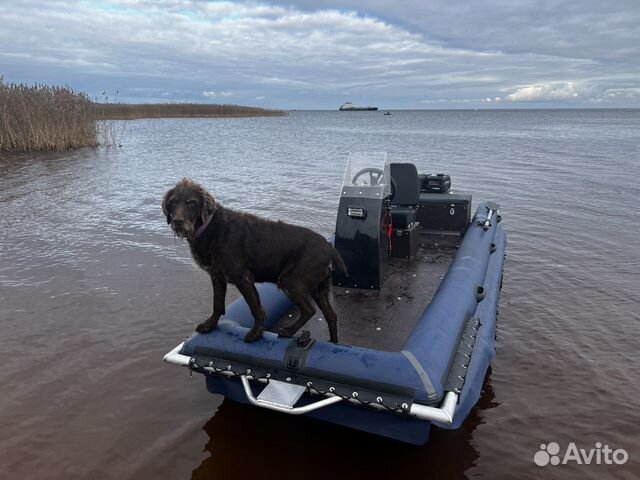 Лодка Болотоход Бриз 430