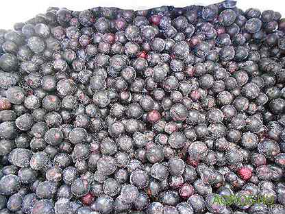 Черноплодная рябина замороженная. Черноплодка замороженная. Черноплодка заморозка. Черноплодка замороженная что приготовить. Черноплодная рябина ягоды мороженые.