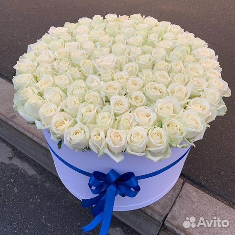 101роза/белые розы/белый роза