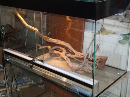 Террариумы готовые и под заказ