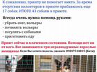 Приют для собака в Колпино без помощи (видео НТВ)