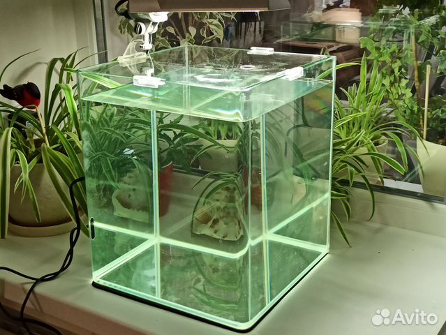 Аквариум Dennerle nano cube 30 + лампа