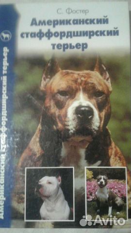 Американский стаффордширдский терьер. С. Фостер