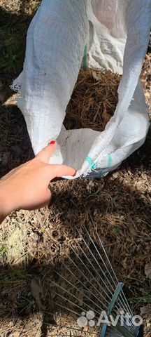 Мульча сосновые иголки с шишками