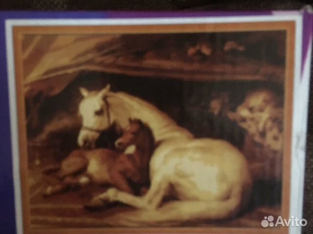 Картина лошади по номерам 40х50