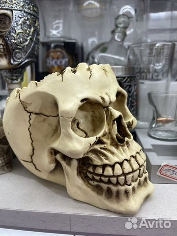 Кружка, стопки и кубок с черепом