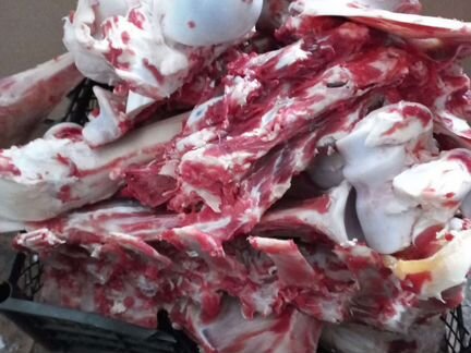 Кости для собак