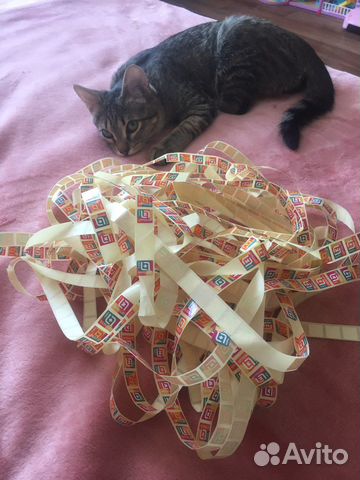 Наклейки магнит