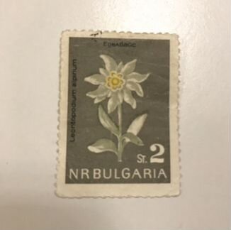 Почтовая марка Болгария