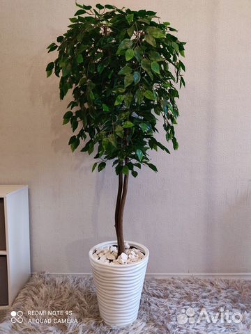 Фикус бенджамина искусственный
