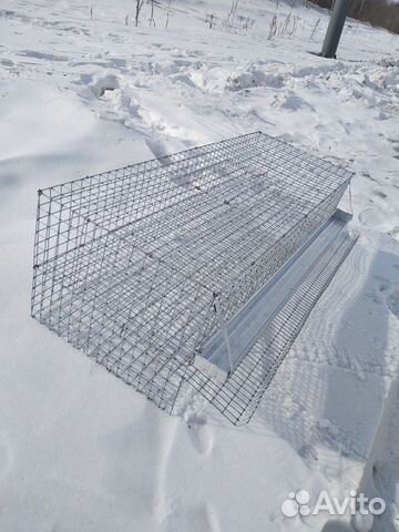 Клетка для перепелов