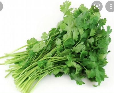 Кинза (кориандр) семена