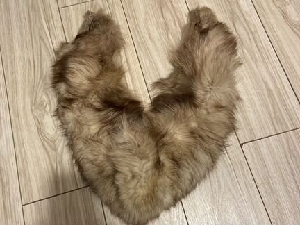 Шкурка песца «воротник»