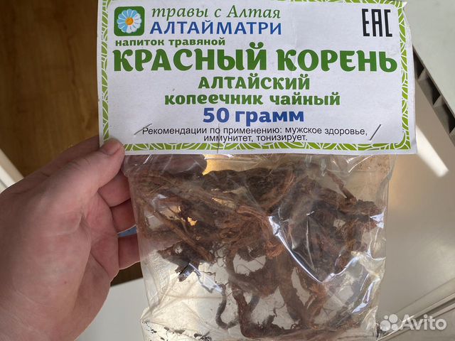 Красный корень(копеечник)