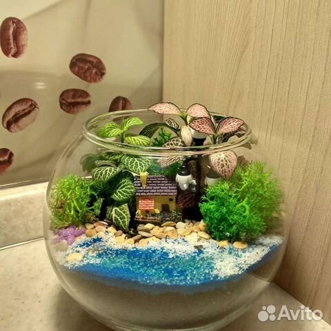 Оригинальный подарок, флорариум, ваза, цветы