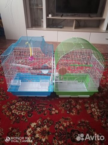 Клетка для волнистого попугая