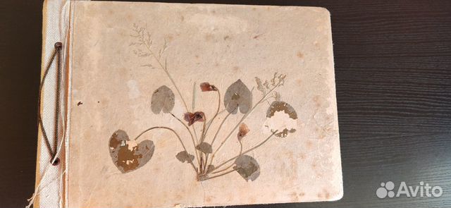 Фотоальбом немецкий офицер с девушкой WW II