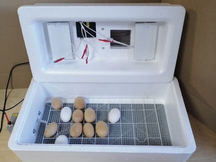 Инкубаторы 