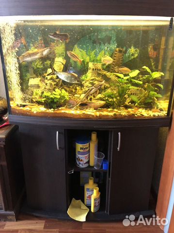 Аквариум с рыбками и тумбой