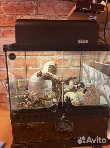 Террариум для рептилий exoterra