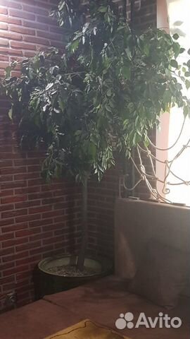 Дерево искусственное