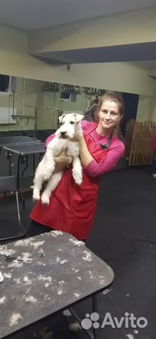 Груминг Юкки Осиновая Роща