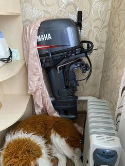 Мотор Yamaha 30hwcs в Белом Яру Томской обл