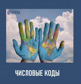 Екатерина Гилева - Числовые Коды