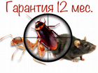 Дезинфекция тараканов клопов блох муравьев ос клещ