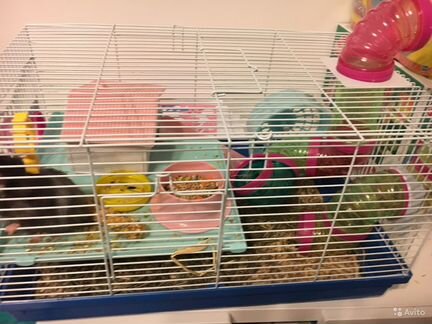 Клетки - Вольеры для хорьков и других грызунов