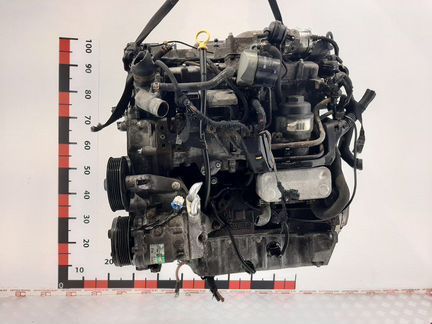 Двигатель (двс) для Opel Astra G 55352785