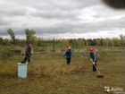 Рабочий на расчистку территории, Красноярск