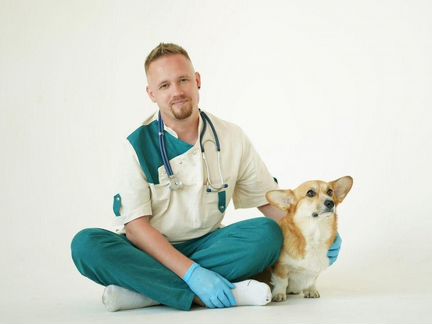 Ветеринарный врач. Ветеринар. Круглосуточно