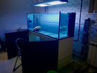 Морской аквариум еlos 160 объявление продам