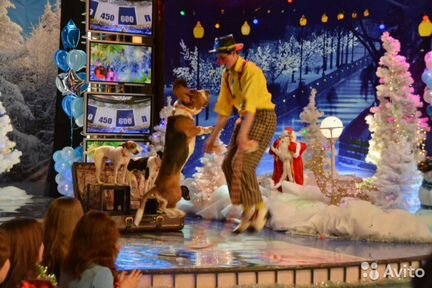 Дрессированные животные на Ваш праздник