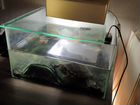 Красноухая Черепаха с аквариумом бесплатно